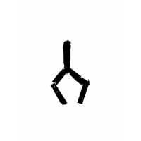 Glyph 138