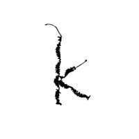 Glyph 141