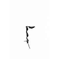 Glyph 148