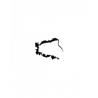Glyph 285