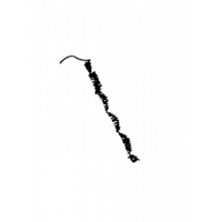 Glyph 342