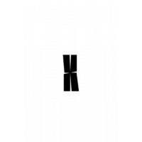 Glyph 337