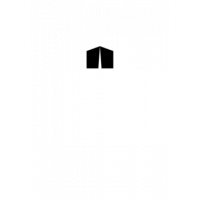 Glyph 382