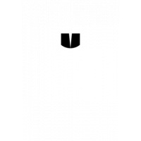Glyph 383