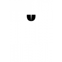 Glyph 384