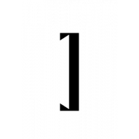 Glyph 291