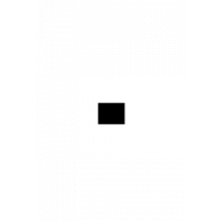 Glyph 298