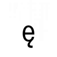 Glyph 164