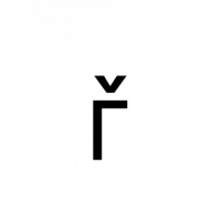 Glyph 220