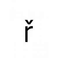 Glyph 293