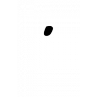Glyph 1255