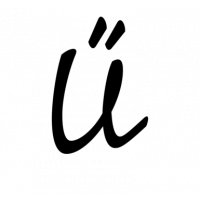 Glyph 307