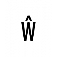 Glyph 256