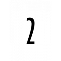 Glyph 307
