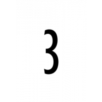 Glyph 308