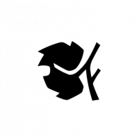 Glyph 427