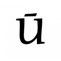 Glyph 119