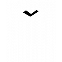 Glyph 255