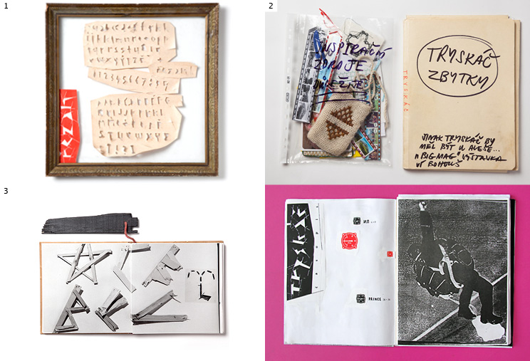 Briefcase autori BLOG Babak 021